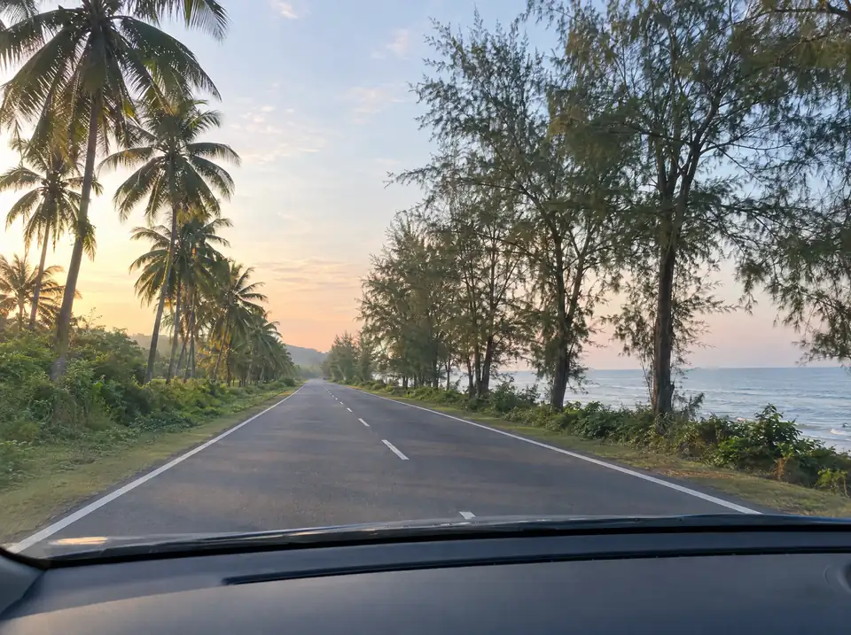 View through a windscreen of a quiet coastal road lined with palms
