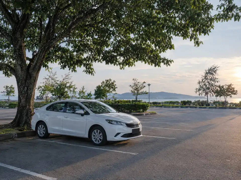 Clean white sedan parked in the shade of a large tree